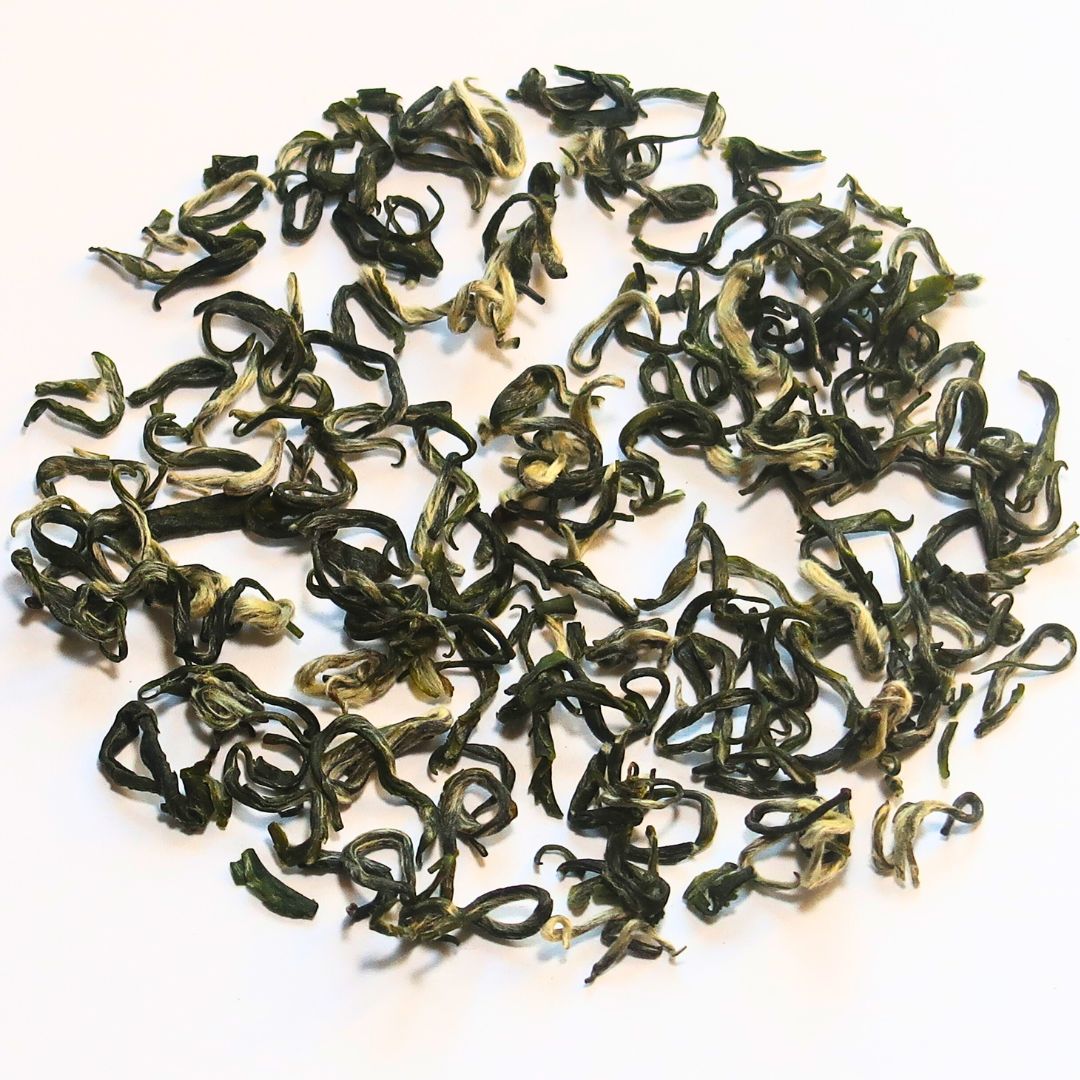 Green Snail Spring - Bi Luo Chun 2024 Green Tea