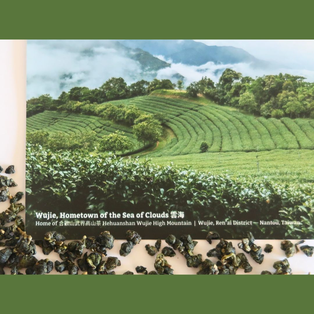 Hehuan High Mountain Oolong Tea